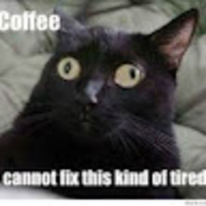 Meet your Posher, Clara